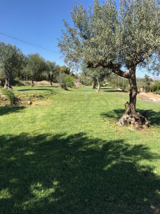 Oasis Country Park Hotell Rugat Exteriör bild